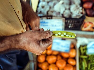 File:Fresh Pea Pod (Unsplash).jpg