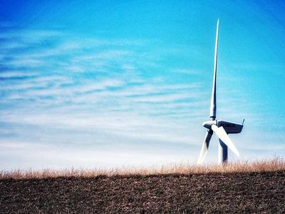 File:Blowing in the wind. (50211164578).jpg
