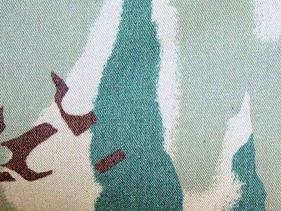File:Phase III & IV Track Woodland (Mod) Camo Close-Up Swatch.png