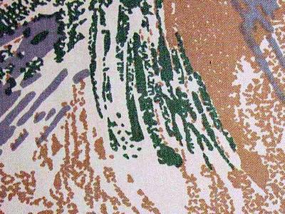 File:Phase III All-Over Brush Desert (Mod) Camo Close-Up Swatch.png