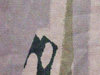 File:Phase III Track Urban (Light Mod) Camo Close-Up Swatch.png