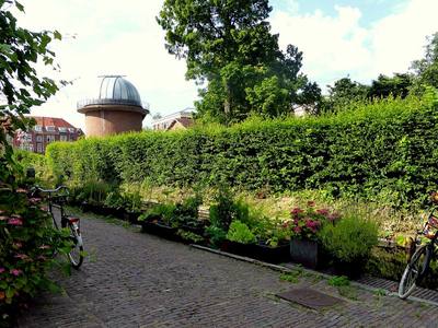 File:Canalside gardening, 5e Binnenvestgracht (19424680859).jpg