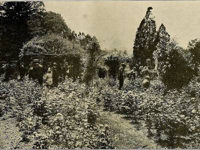 File:The American florist - a weekly journal for the trade (1921) (18143810395).jpg