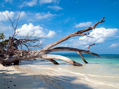 File:Havelock Island, Sandy lagoon, Andaman Islands.jpg