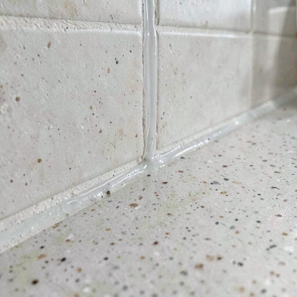 Disinfection Orléans (45) - Professional pest control